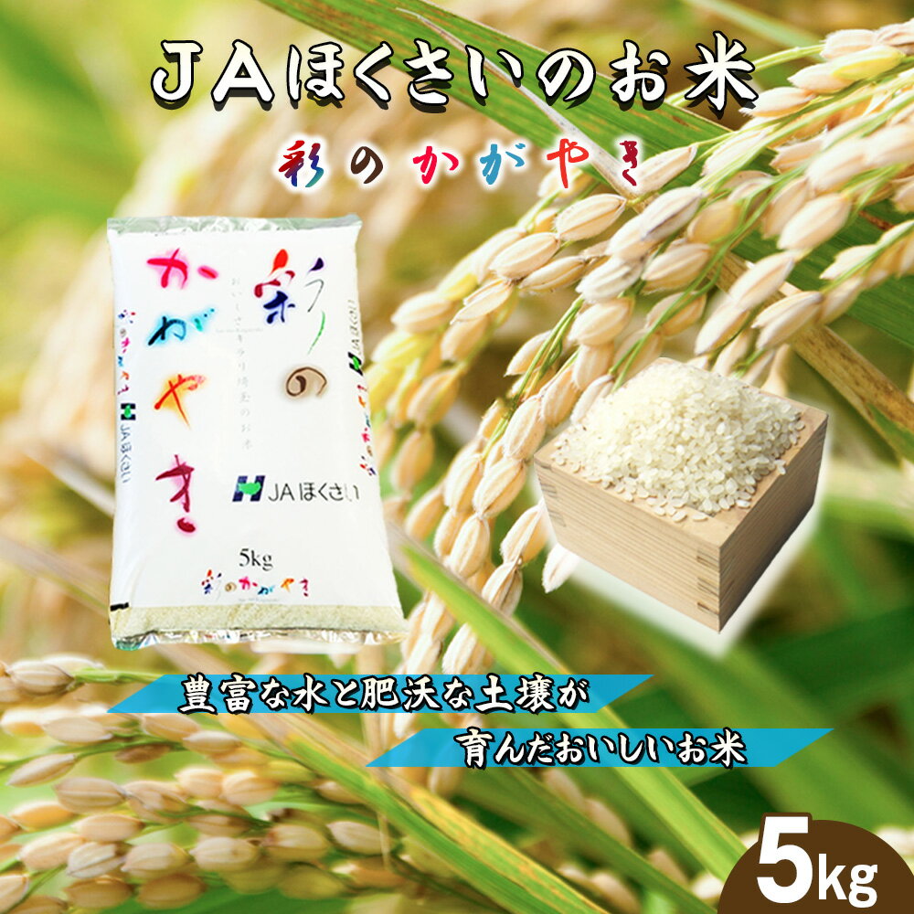 【ふるさと納税】鴻巣市産「彩のかがやき」5kg ／ 令和7年産 新米 2025年産 米 精米 お米 5キロ ご飯 ブランド米 美味しい さっぱり 甘み 送料無料 埼玉県［No.568］