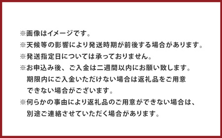 ＜ R8年熊本地震復興支援 ＞小玉西瓜 2玉入 1玉あたり1.5kg以上 すいか スイカ【2027年4月下旬～7月上旬迄順次発送予定】