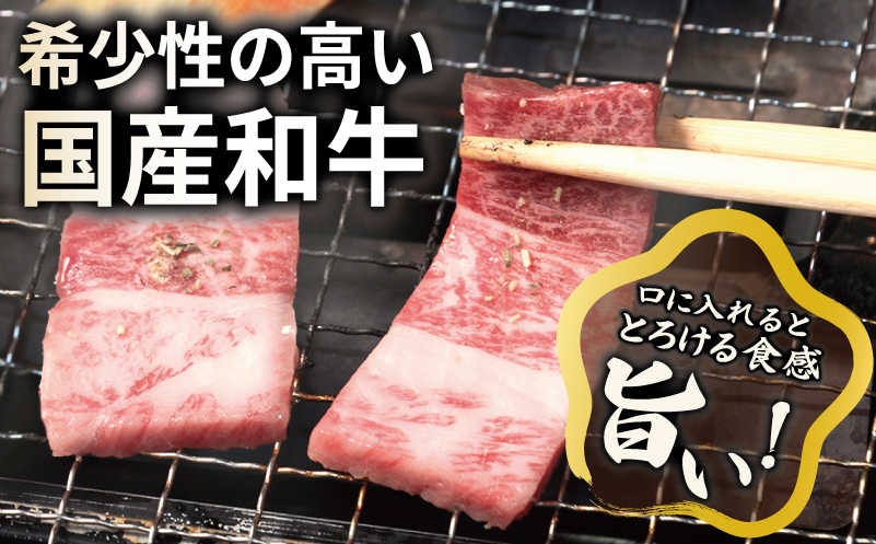 A5ランク 国産和牛 肩ロース 焼肉用 オリジナルスパイス  小分け少量パック（300g×1P）