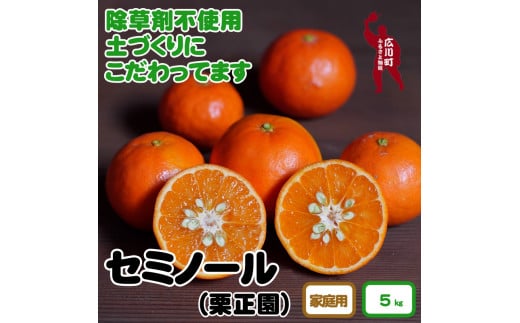 ▼＜紀州有田＞タカじいの 家庭用 セミノール 5kg（サイズおまかせM～2L）  ※2025年4月中旬頃から順次発送予定【krs016-c-5】