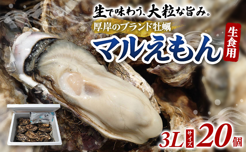 牡蠣 厚岸のブランド牡蠣 マルえもん 3Lサイズ 20個 生食用 魚貝類 海鮮 海のミルク 国産 生食用殻付き牡蠣 まろやか クリーミー 食べやすい品種 海の香り 牡蠣の酒蒸し 焼き牡蠣 
