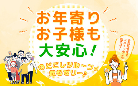 飲むゼリー詰め合わせ12個入り みかん・りんご・ぶどう・いちご(各180ml)[m01-a022]