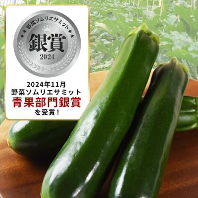 ふるさと納税 国富町 【野菜ソムリエサミット銀賞受賞!あなたにズッキーニ2kg(10本)】ヒダカファーム 宮崎県国富町 |  | 01