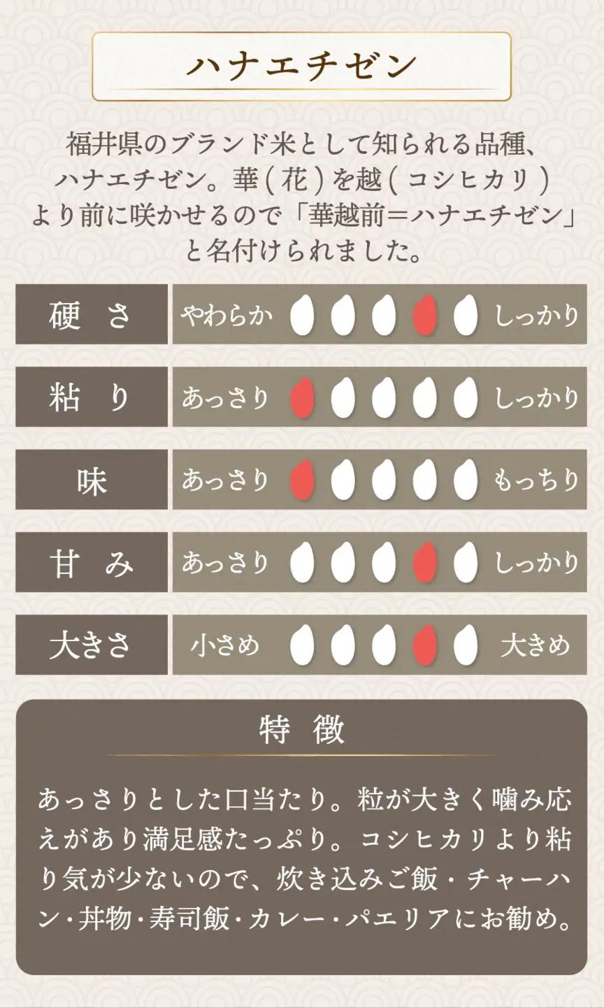【定期便6回】福井県産 ハナエチゼン 無洗米 20kg（10kg×2）＜令和8年産＞[095-t06-a628]
