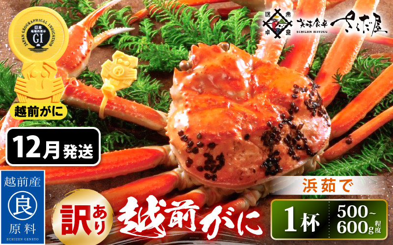 
            【訳あり】≪浜茹で≫ 越前がに 約500～600g × 1杯（茹で前重量）食べ方しおり付き【12月発送】【雄 ズワイガニ ずわいがに かに カニ 蟹 姿 ボイル 福井県】希望日指定可 備考欄に希望日をご記入ください [e04-x021_12]
          