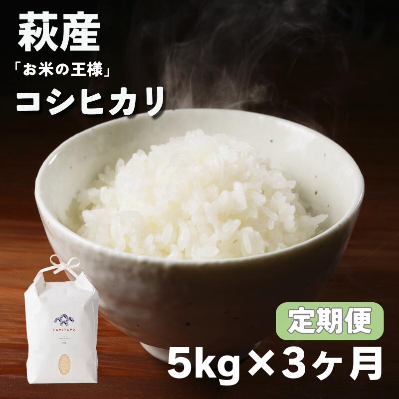 【ふるさと納税】定期便 3か月 コシヒカリ 令和7年 5kg 米 コメ こめ 萩産 KAMITAMA