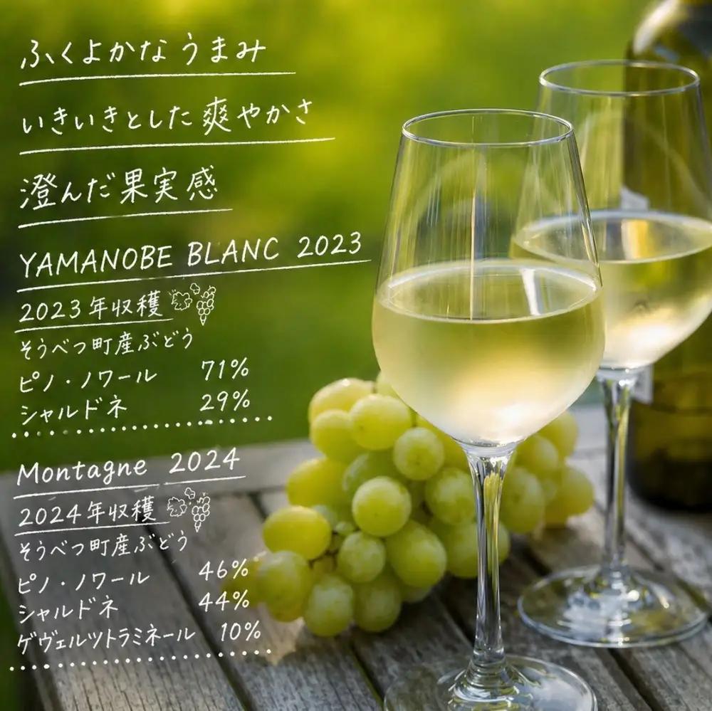 昭和新山ワイン YAMANOBE BLANC 2023(ヤマノベブラン）、Montagne 2024 無濾過(モンターニュ）白ワイン 辛口 750ml 各1本セット SBTQ014