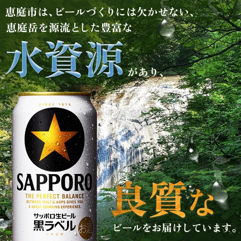 【定期便：全9回】サッポロ黒ラベル 350ml×24本【880040011909】