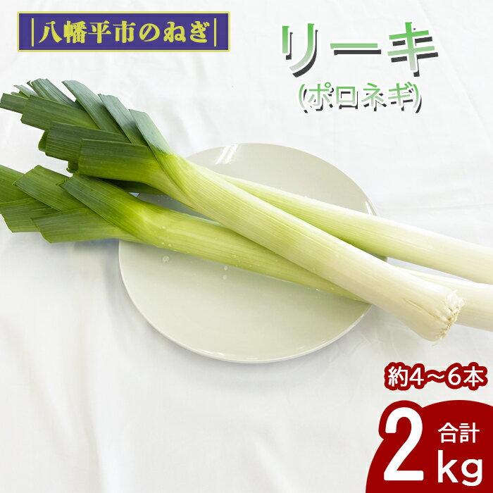 【ふるさと納税】 ねぎ 長ねぎ 西洋ねぎ 岩手県産 リーキ 2kg ／ 野菜 ネギ 葱 ポロネギ ポワロ ポアロ 香味野菜 新鮮 フランス料理 フレンチ イタリア料理 イタリアン 希少 稀少 産地直送 八幡平市産 農家直送 煮込み料理 おすすめ みのり風土 岩手県 八幡平市 送料無料