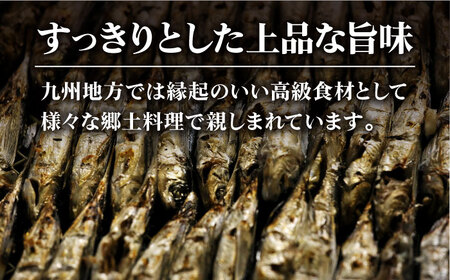 【全3回定期便】【簡単に出汁が取れる♪】五島あごじまん 80g×4袋【新魚目町漁業協同組合】[RBC013]