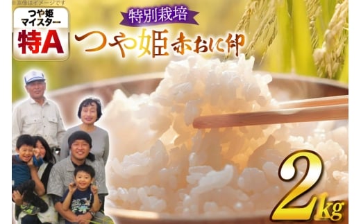 米 令和7年産 特別栽培米 赤おに印 つや姫 2kg [金子農園 山形県 高畠町 tk06ays950042] 精米 白米 米 お米 ブランド米 ごはん ご飯