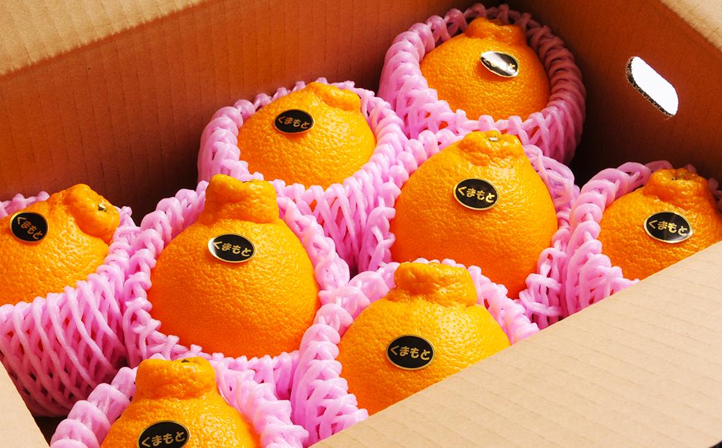 
            熊本フルーツ定期便3回（3月.4月.5月）【2026年3月上旬～5月下旬迄順次発送予定】 フルーツ 果物 メロン すいか 不知火 ギフト 贈答 定期便 定期 熊本産
          