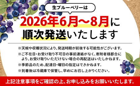 【先行予約】1217-1 粒王 生 ブルーベリー 1.2kg（ 400g × 3P ） KN030-002-01 果物 フルーツ 和田農園 農薬不使用 手摘み 安心安全 生ブルーベリー 先行予約 先行