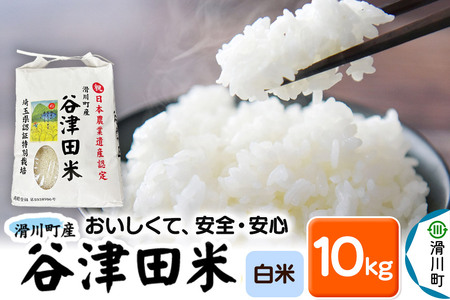【白米】埼玉県滑川産のお米 「谷津田米」 10kg 令和7年産 埼玉県認証特別栽培
