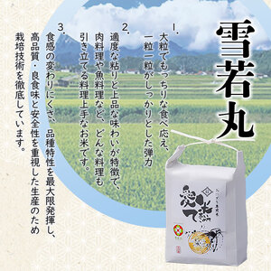 【令和8年産先行予約】【6ヶ月定期便】特別栽培米 雪若丸　精米 10kg(5kg×2袋) × 6ヶ月　山形県鶴岡市産　愛米て　| 米 こめ コメ 10キロ ゆきわかまる ブランド米 庄内米 ごはん ご