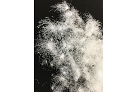 【掛け布団】羽毛掛け布団プレミアム（シングル：150cm×210cm）ポーランド産ホワイトマザーグースダウン９５％【サンモト】