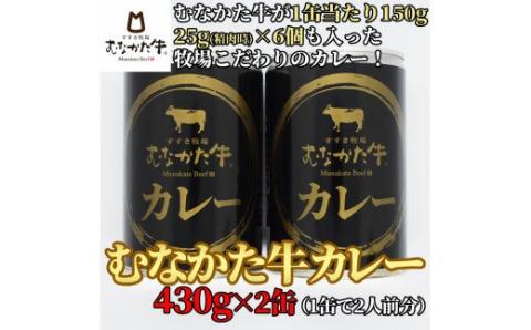 【牧場こだわり】むなかた牛カレー2人前×2缶【すすき牧場】_HA0937