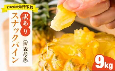 ＜訳あり！＞2026年先行予約　大きさ不揃いお得！箱にいっぱいスナックパイン9kgセット