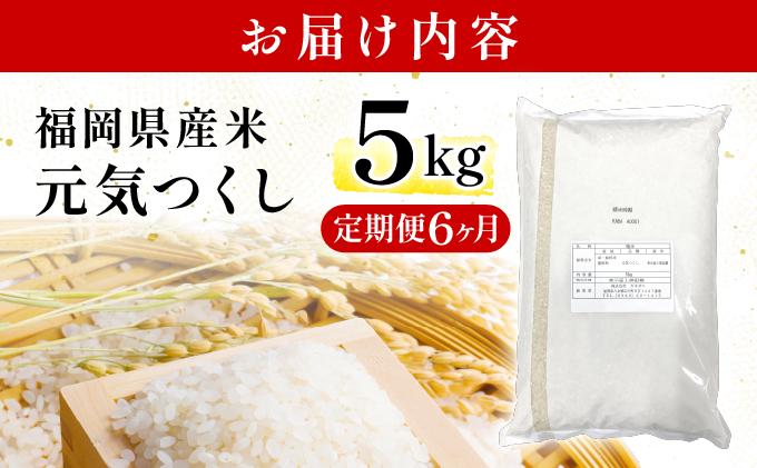 【6ヶ月定期便】福岡県産米 元気つくし 5kg 精米 令和7年産 ※北海道・沖縄・離島は配送不可【精米 7年産 国産 福岡県産 お米 ブランド米 5kg げんきつくし】CY011sub6