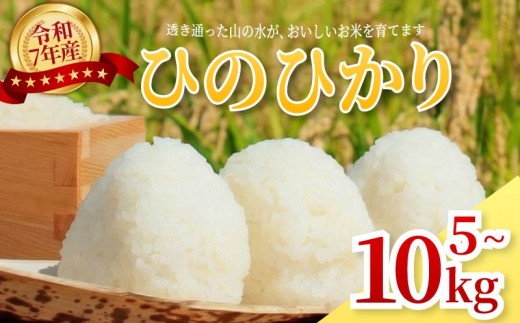 ヒノヒカリ 5kg 令和7年産 白米 特別栽培米 数量限定 ご飯 白ご飯 お米 米 ひのひかり 2025年産 奈良県 奈良市 ライス kome ゆうちゃんファーム ycf01