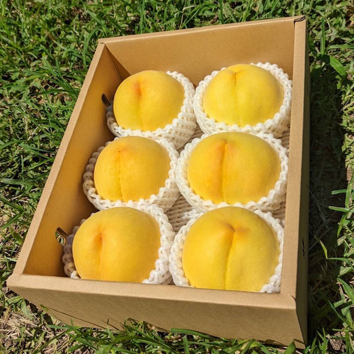 厳選 希少品種！黄金桃2kg 5～8玉 山梨県南アルプス市産 ALPBV009