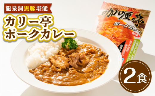 
                  【龍泉洞黒豚堪能】カリー亭ポークカレー2食セット【1728602】
                