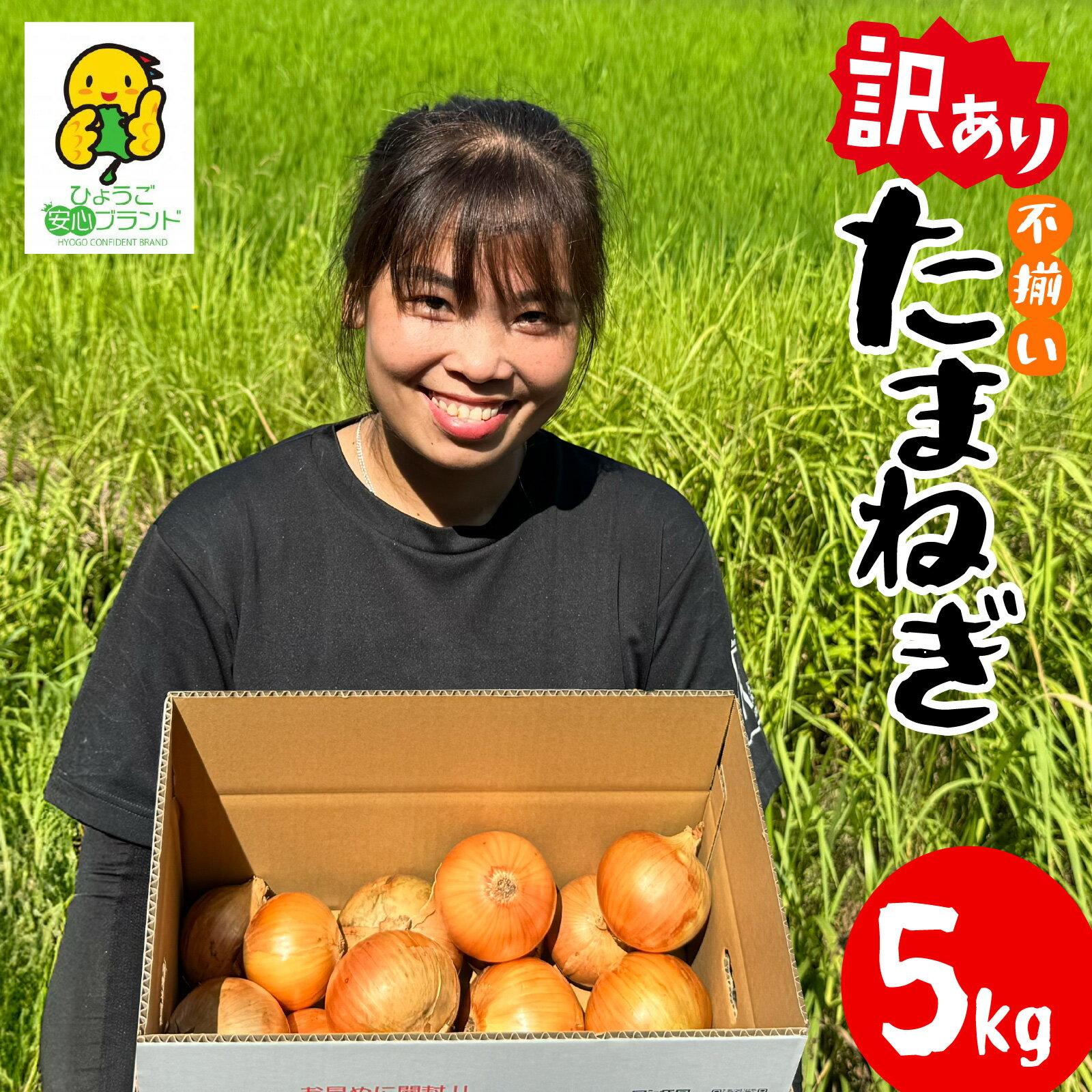 【ふるさと納税】 訳あり 玉ねぎ 5kg 淡路島 フードロス たまねぎ SDGs 【 不揃い サイズ 混合 ミックス S M L 2L タマネギ オニオン スライス サラダ ハンバーグ 肉じゃが 焼肉 常備菜 BBQ スープ 味噌汁 産地直送 兵庫県 淡路市 送料無料 】