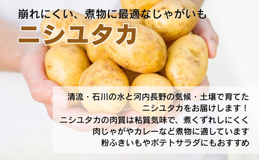 【令和8年度産じゃがいも先行予約】じゃがいも 2.5kg ※6月より発送予定 ニシユタカ ジャガイモ ポテト 馬鈴薯 カレー シチュー 肉じゃが スープ サラダ ポタージュ ポテトサラダ フライドポテ