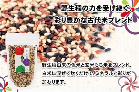 [農薬不使用] 里山の自然で育てた「禅寺の色々米」計600g (300g×2袋) [0692]