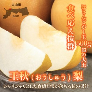 王秋梨(5kg) しっかりとした甘味と酸味が絶妙に調和