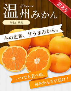 みかん【訳あり】 森本農園 約10kg 【2026年10月中旬～2027年2月中旬ごろに順次発送】【BV90010-mrmt010】