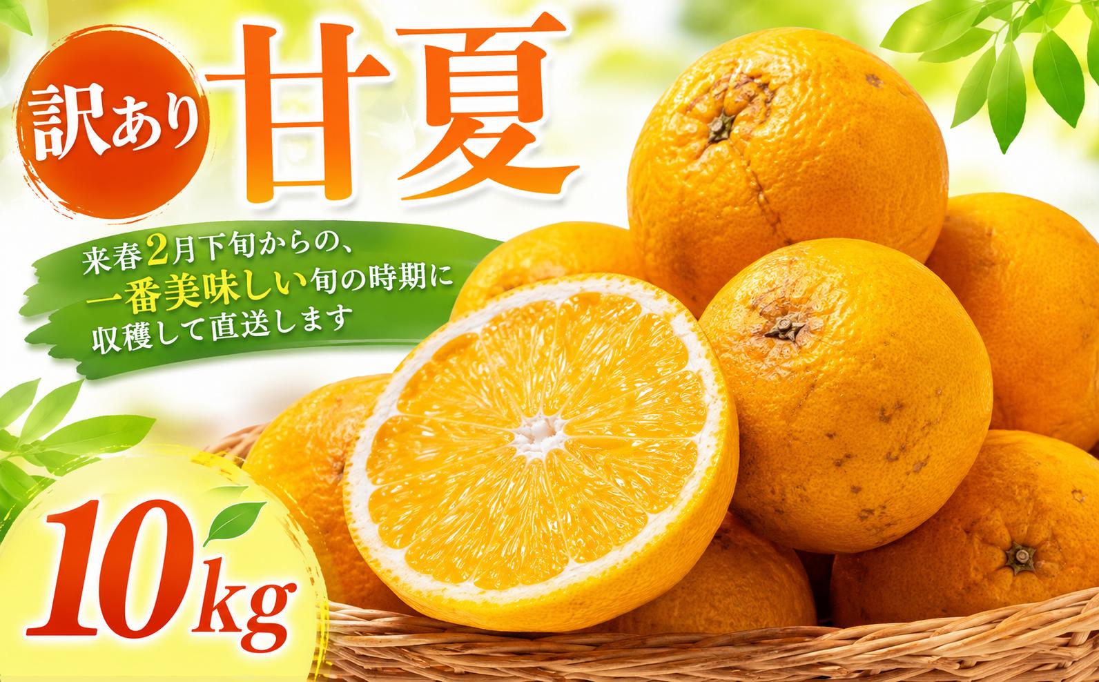 
                  【先行予約】【2027年2月下旬より順次発送】訳あり 甘夏 10kg 愛媛県 愛南町産 先代から受け継いだ樹から、未来へ残したい味を。 Legacy Reserve みかん 蜜柑 果物 柑橘 フルーツ 傷 不揃い 高級 糖度 甘い ゼリー ジュース 農園 直送 エニシトラス 
                