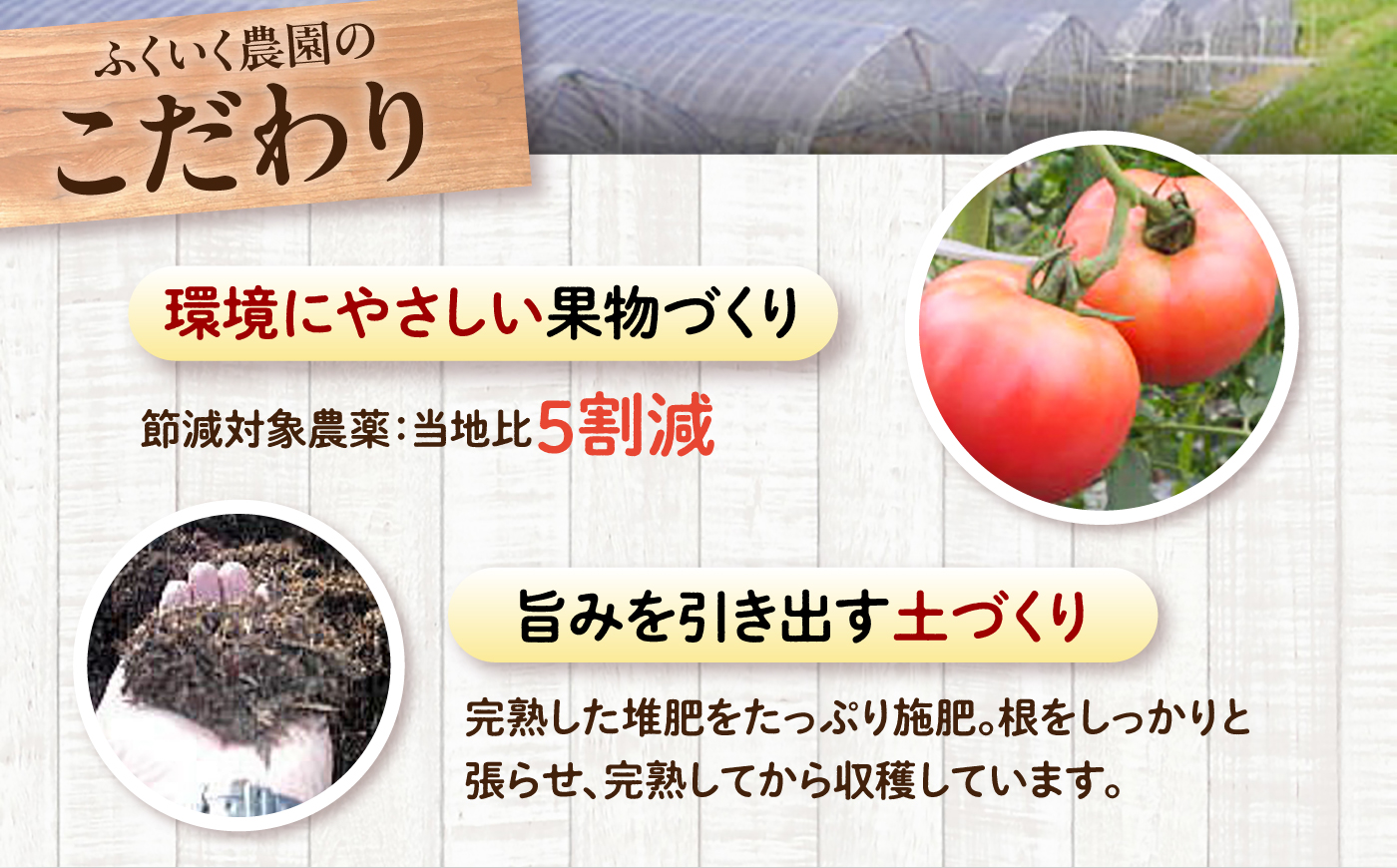 【訳あり】 トマト 約2キロ / とまと 野菜 果物 訳アリ 恵那市 / 馥郁農園 [AUCK013]