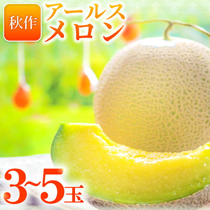 【ふるさと納税】 アールスメロン 3〜5玉 計8kg 秋作 糖度14度以上 季節限定 期間限定 メロン フルーツ 果物 くだもの 青肉 高級 ご褒美 贅沢 ギフト 贈答 贈り物 お歳暮