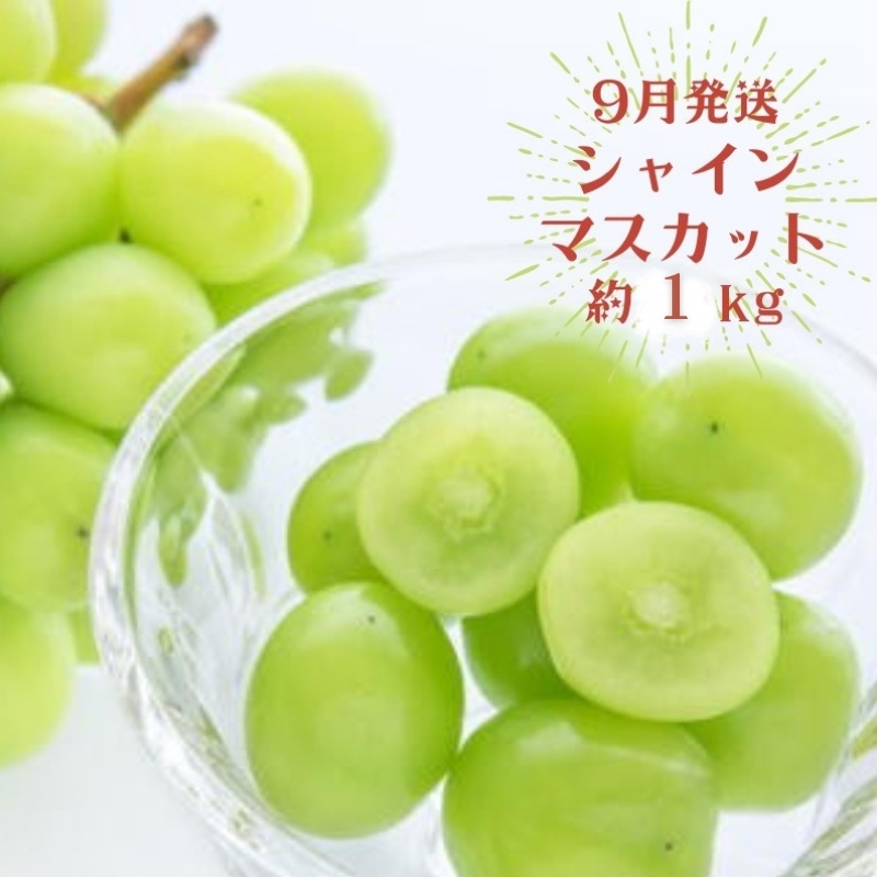 【3か月定期便】夏のいいとこどりフルーツ定期便♪桃・ピオーネ・シャインマスカット / 果物 フルーツ くだもの フルーツ定期便 定期便 くだもの定期便 もも モモ 桃 葡萄 ぶどう マスカット【tkb360】