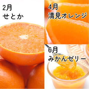 家庭用 柑橘定期便S（偶数月）全6回 ［IKE302］