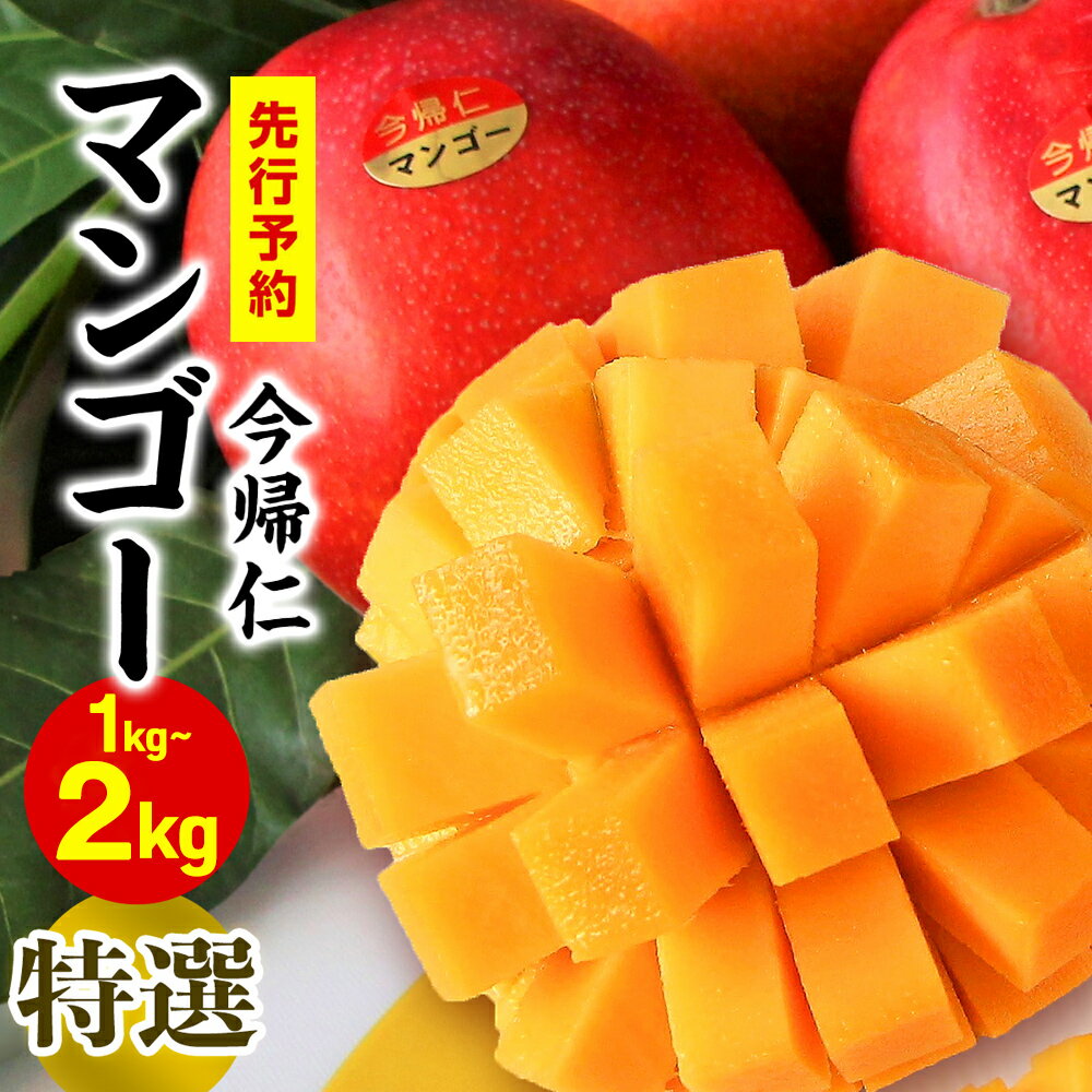 【ふるさと納税】今帰仁マンゴー特選1kg〜2kg【先行予約】【2026年6月中旬～8月中旬頃発送】生産者直送