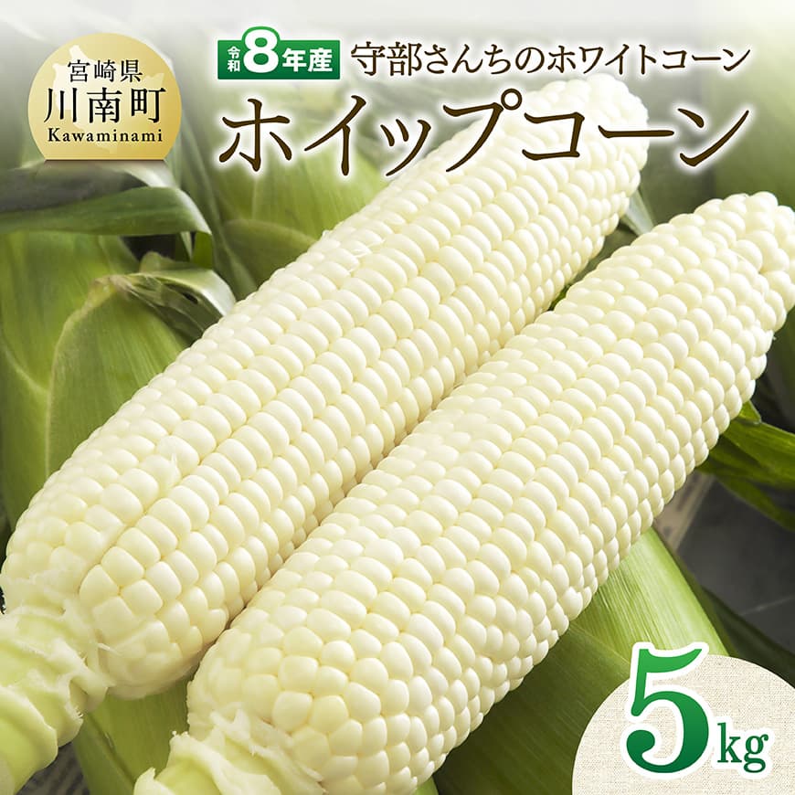 【令和8年発送】宮崎県産とうもろこし　守部さんちのホワイトコーン「ホイップコーン」5kg とうもろこし ホワイトコーン トウモロコシ ホイップコーン 令和8年発送 先行予約 数量限定 期間限定