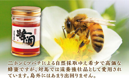 対馬 天然 和蜂 蜂蜜 50g 3瓶 《 対馬市 》【 うえはら株式会社 】 対馬 新鮮 濃密 ニホンミツバチ ハチミツ ギフト 甘い 受賞 フルーティ 特産品 滋養強壮 希少[WAI088] コダワ