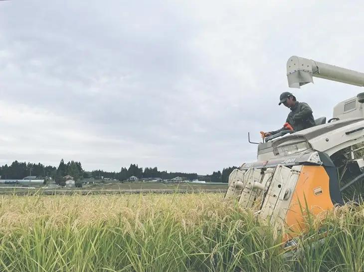 【令和8年産】特選ひとめぼれ精米5kg 新米 先行受付 [CP003-R8]
