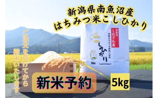 【令和8年産・新米予約】新潟県南魚沼産（塩沢地区）はちみつ米コシヒカリ 5kg※蜂蜜発酵液肥料栽培【2026年9月下旬より1ヶ月以内に順次発送予定】
