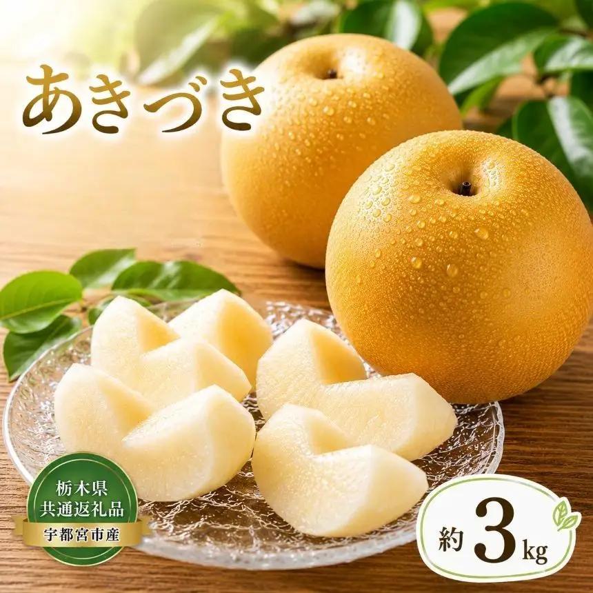 【2026年先行予約】梨 あきづき 約3kg | 秋月 栃木県共通返礼品 栃木県 那珂川町