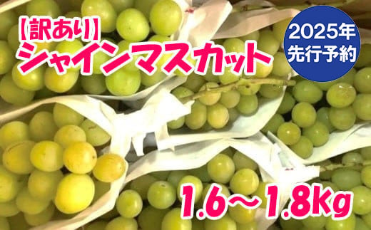 
            【2025年発送分 先行予約】【訳あり】徳用シャインマスカット＊本州のみの地域限定配送品　 訳アリ 訳あり品 シャイン マスカット ぶどう ブドウ 葡萄 徳用 家庭用 ご家庭用 旬 新鮮 くだもの 果物 フルーツ 山梨 やまなし 富士川町
          