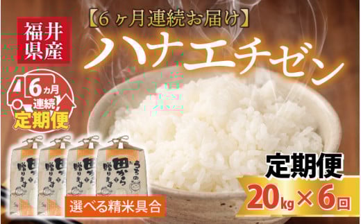 【先行予約】【令和8年産・新米】定期便 ≪6ヶ月連続お届け≫ ハナエチゼン20kg×6回 計120kg ～本原農園からまごころコメて～（玄米）【2026年9月上旬以降順次発送予定】 [O-8907_02]