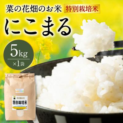 ふるさと納税 八代市 【令和7年産】 菜の花畑のお米 「特別栽培米」 5kg (5kg×1袋)_134-6736
