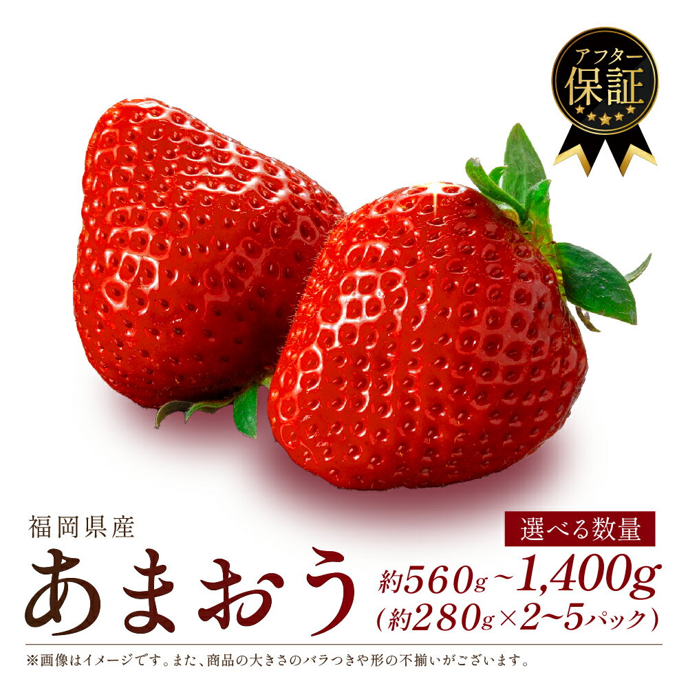 【ふるさと納税】 福岡県産 いちご あまおう 約560g~1.4kg(約280g×2~5P) 苺 イチゴ 大粒 果物 スイーツ 数量 期間限定 ふるさと納税いちご 甘い 人気 フルーツ ふるさと納税あまおう 5000円 五千円 ランキング 2026年1月上旬~順次発送