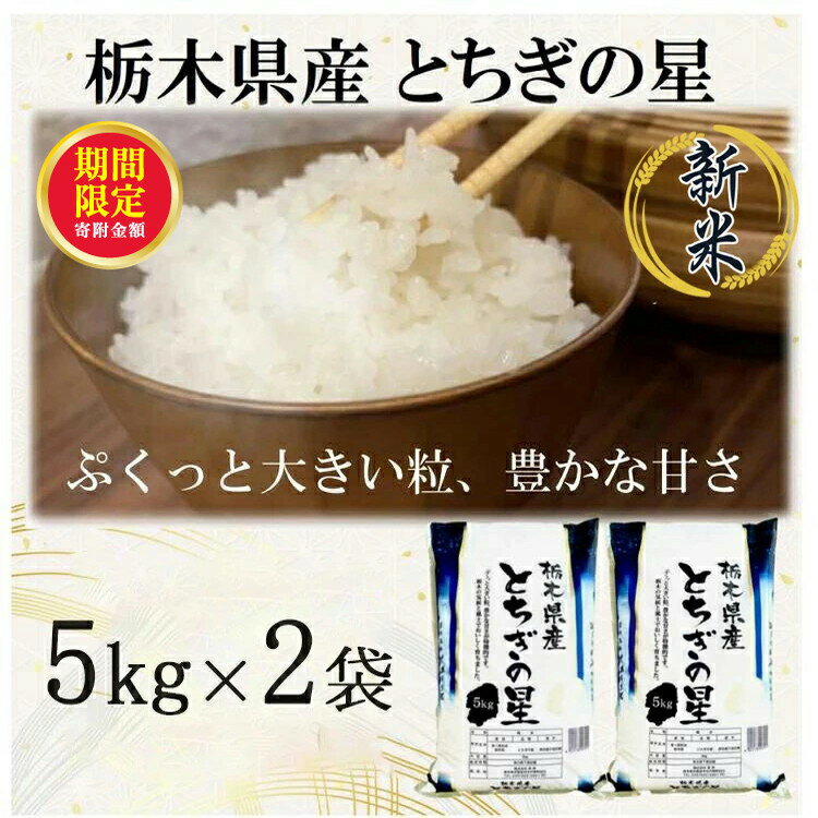 【ふるさと納税】＼12月末まで 寄附額改定／【令和7年産】栃木県産とちぎの星 （精米）5kg×2袋 ｜ お米 白米 一等米 送料無料 栃木県 宇都宮市　※離島への配送不可