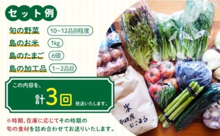 【全3回定期便】壱岐産食材詰め合わせBOX「野菜」 [JBF015] 60000 60000円 6万円 コダワリ野菜 こだわり野菜 おすすめ野菜 おススメ野菜 人気野菜 定番野菜 通販野菜 お取り寄せ