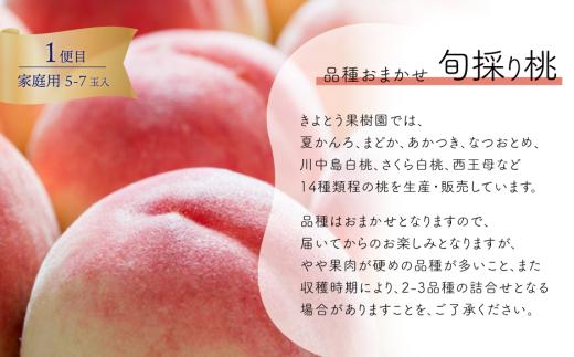 【2026年先行予約】桃・ぶどう・梨が全４回届く岡山フルーツ定期便 (岡山県産)【KF-T006-03】