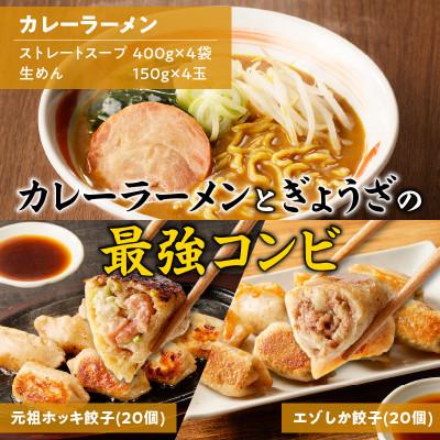 ふるさと納税 苫小牧市 カレーラーメンと餃子 Bセット |  | 01